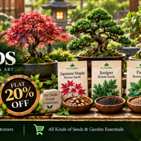 Exotic Bonsai Seeds