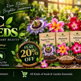 Exotic Flower Seeds