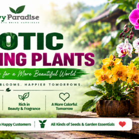 Exotic Flowering Plants