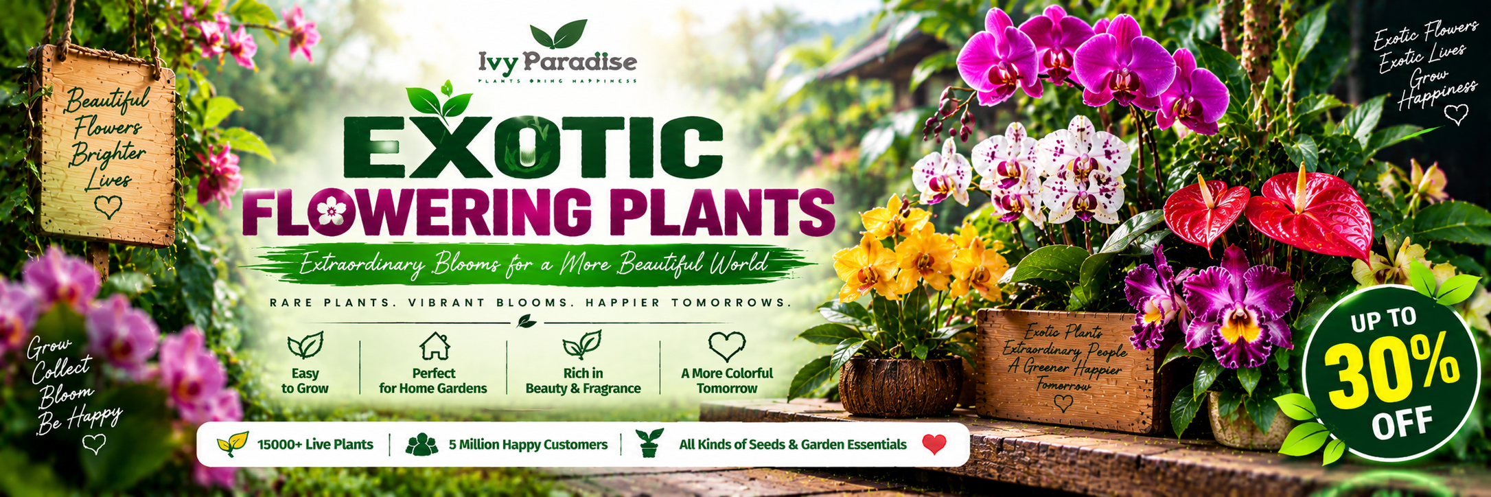 Exotic Flowering Plants