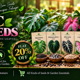 Exotic Foliage Seeds