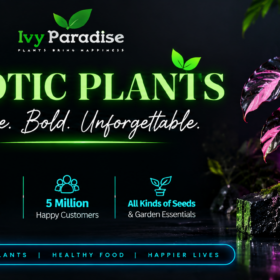 Exotic Plants