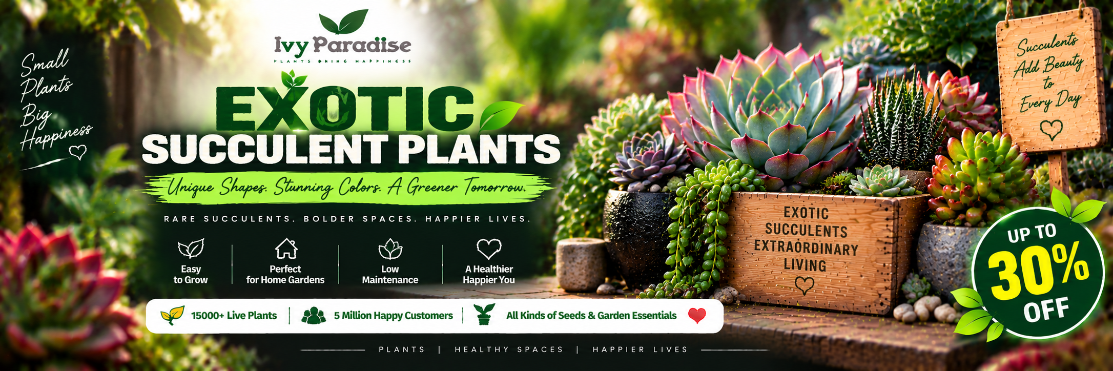 Exotic Succulent Plants