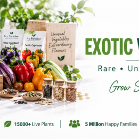 Exotic Vegetable Seeds