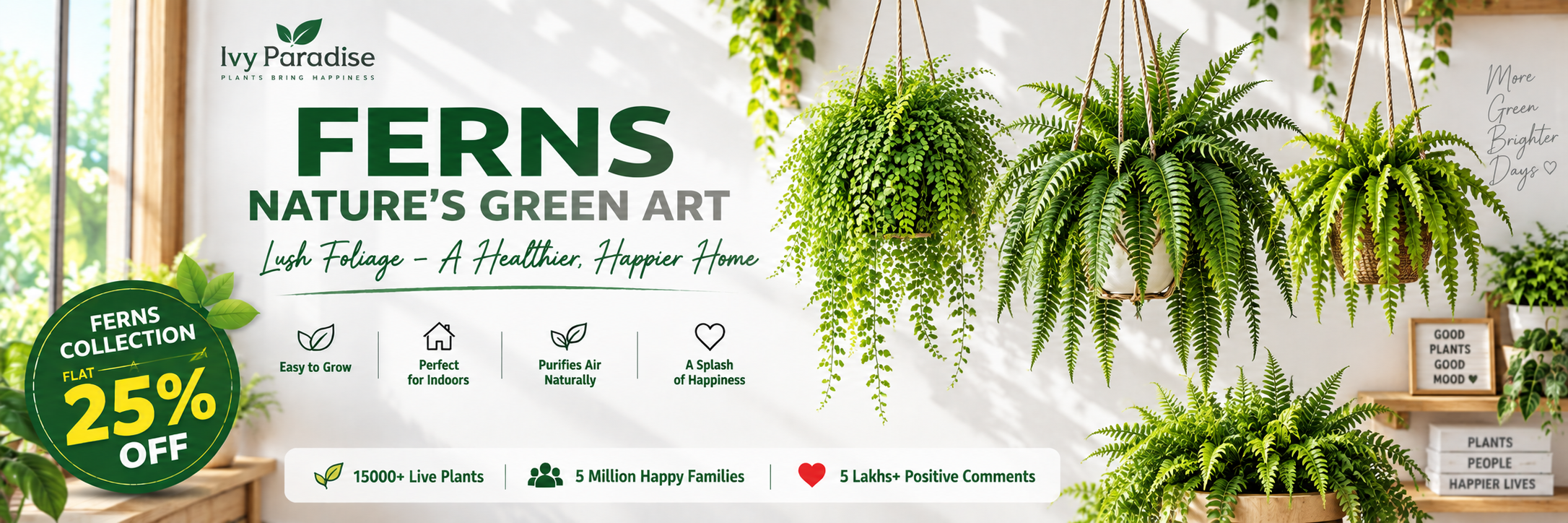 Ferns