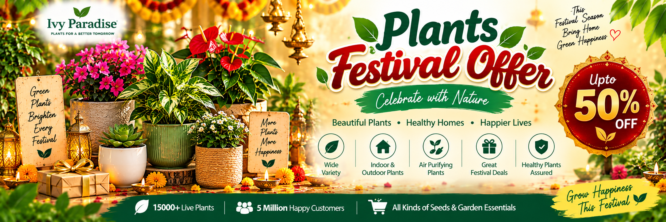 Festival offer