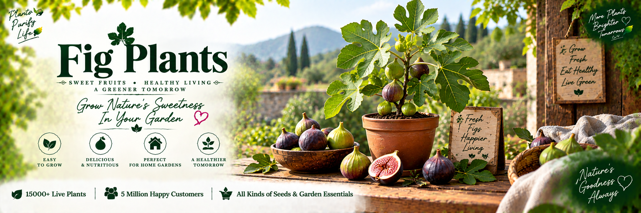 Fig
