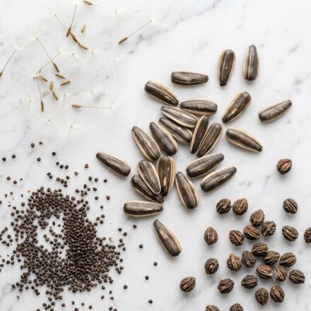 Flower Seeds