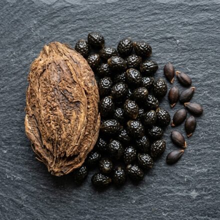 Fruit Seeds