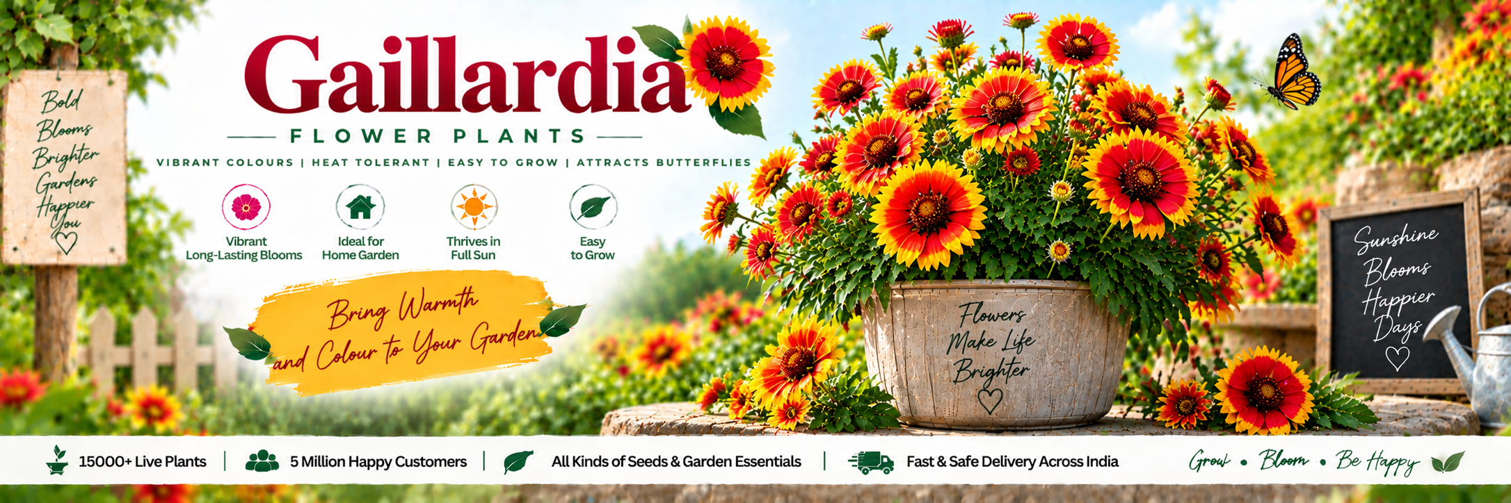 Gaillardia