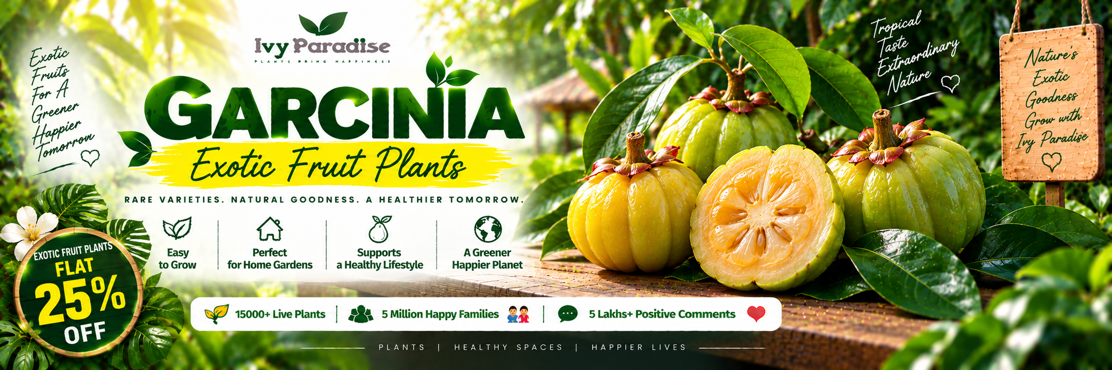 Garcinia