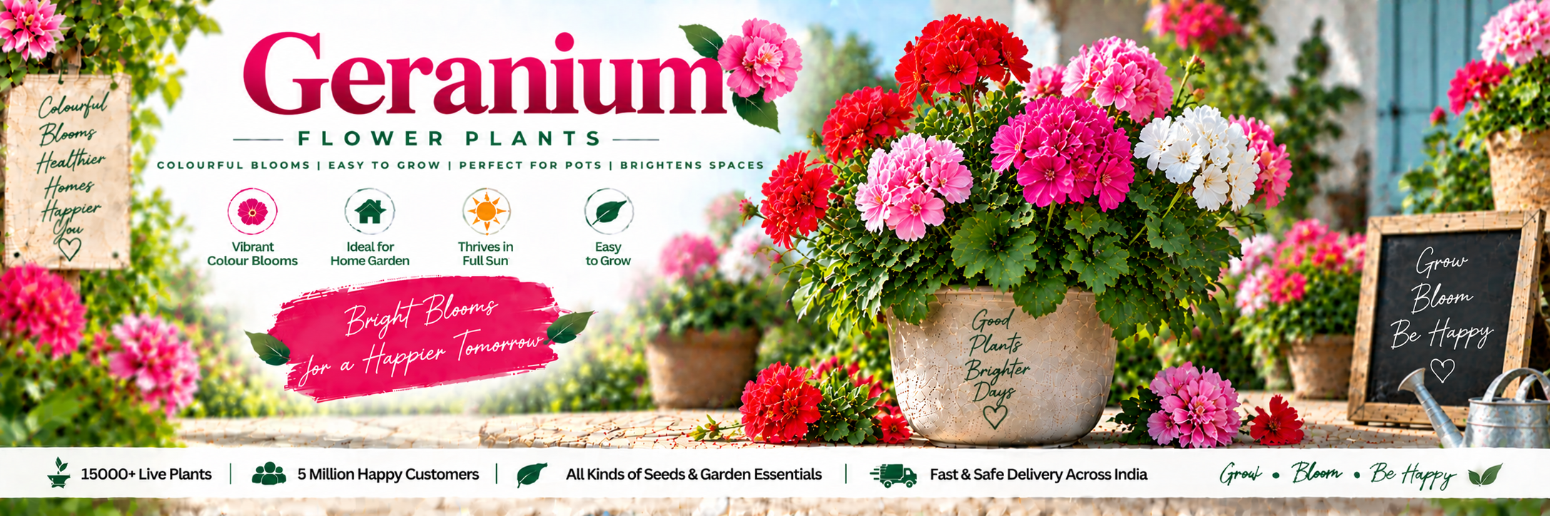Geranium