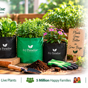Grow Bag