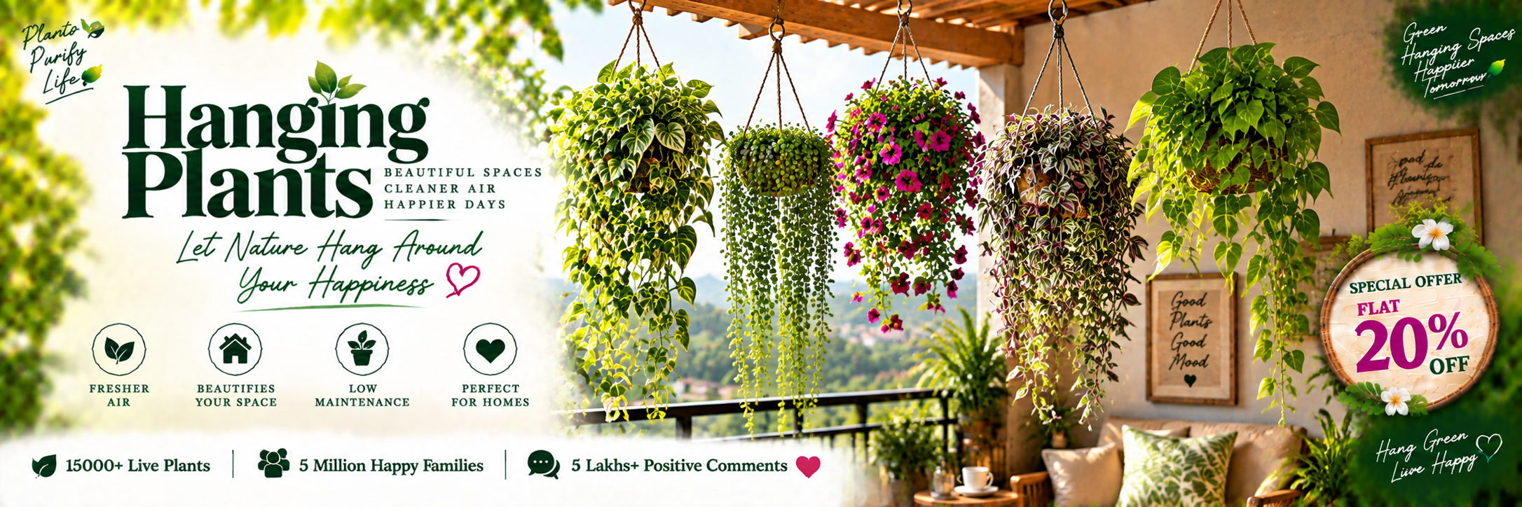 Hanging Plants
