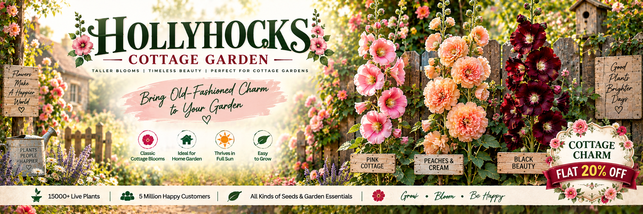 Hollyhocks