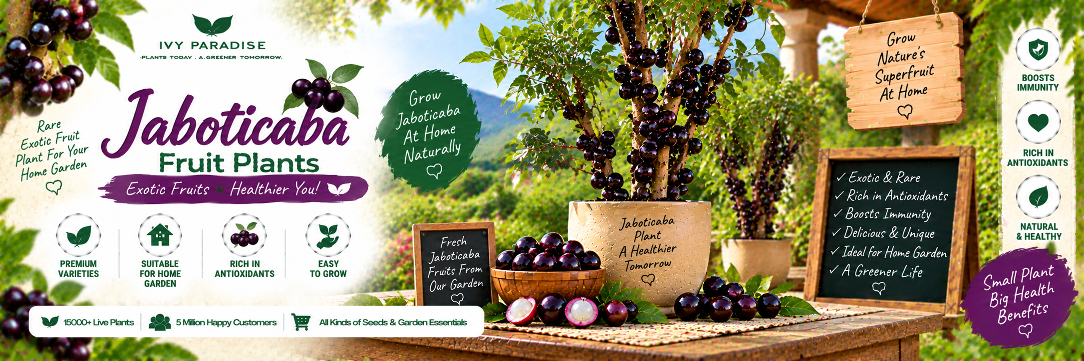 Jaboticaba