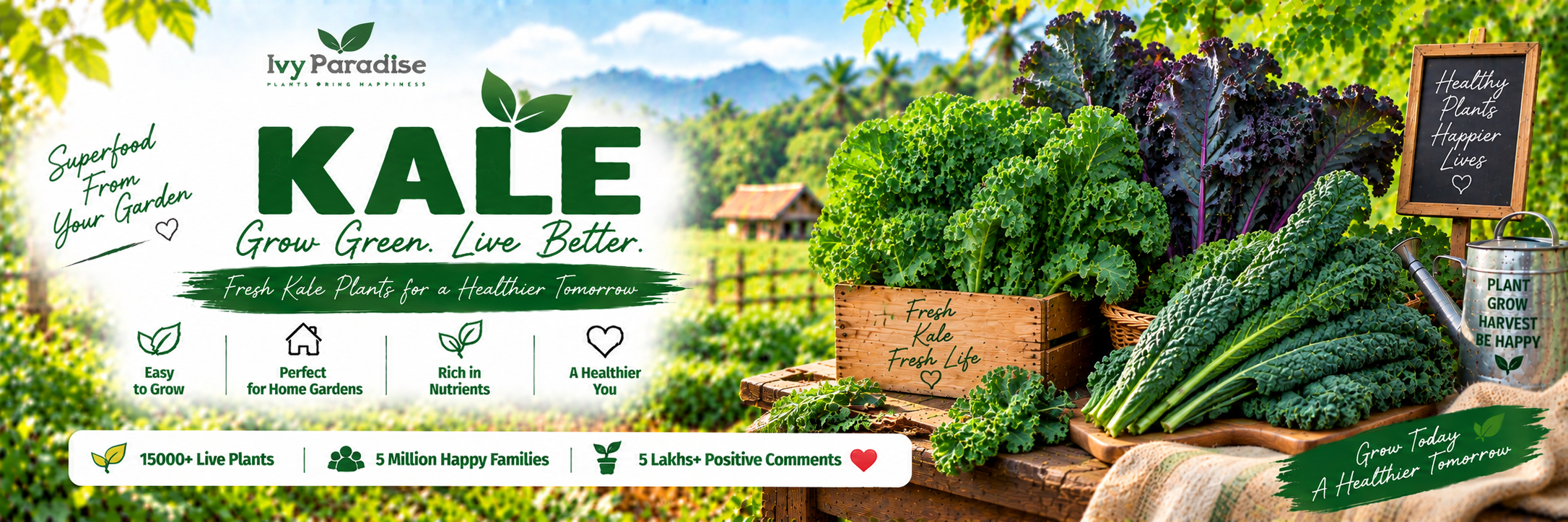 Kale