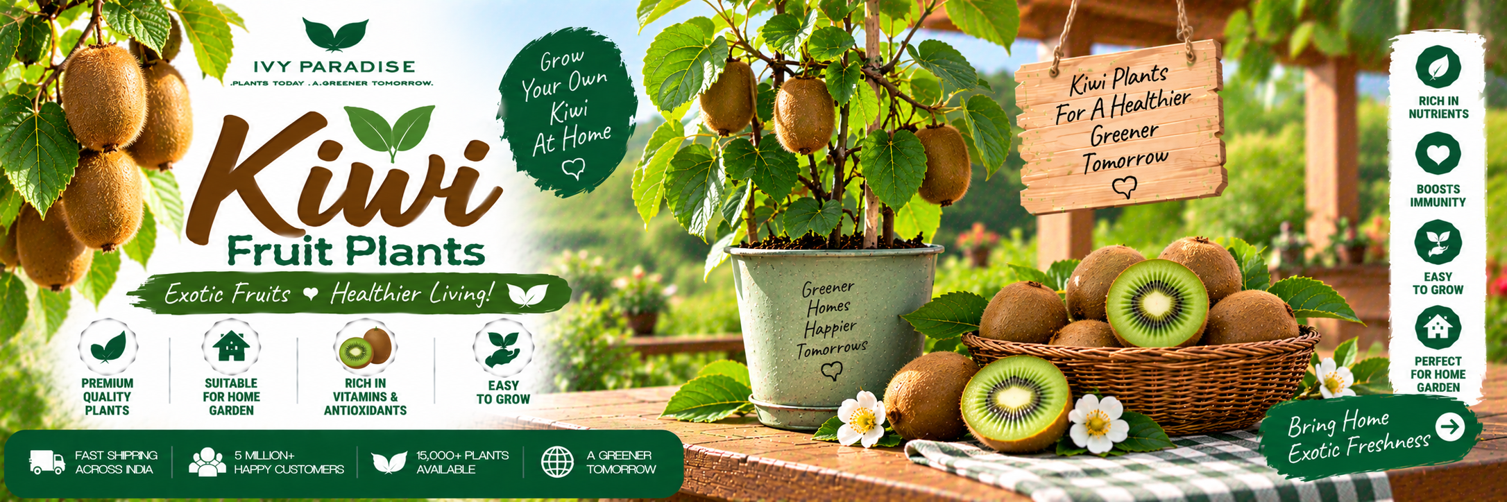 Kiwi
