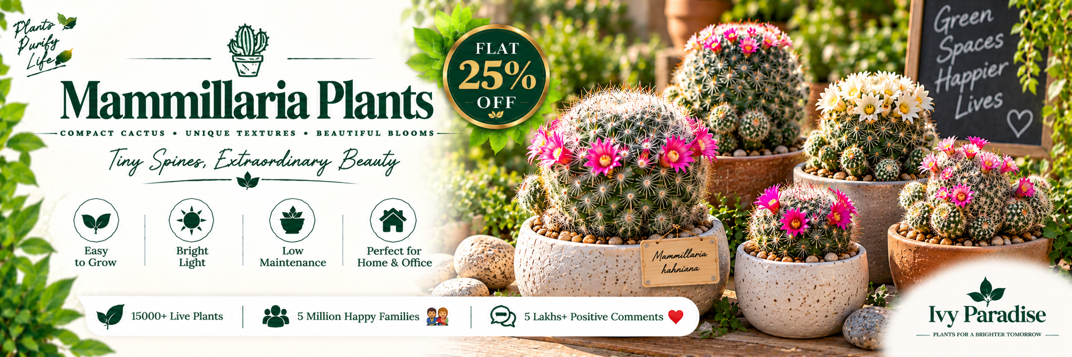 Mammillaria