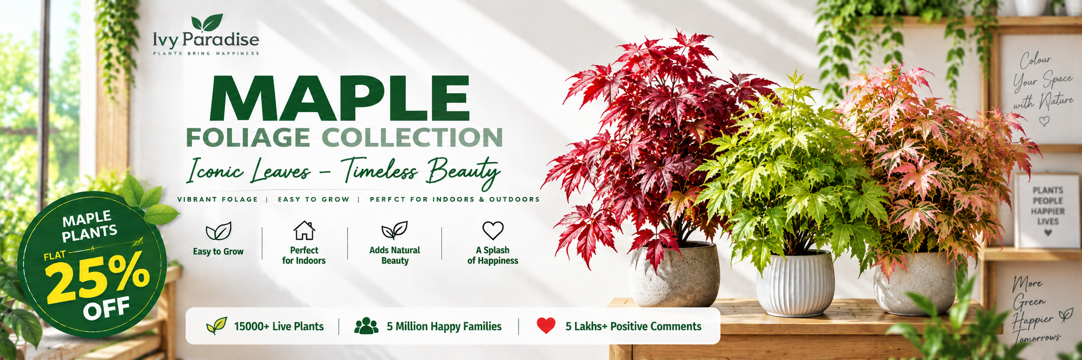 Maple