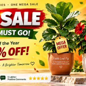 Mega Sales