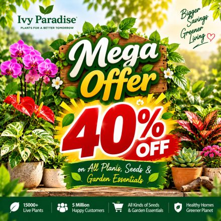 Mega Offer 40%