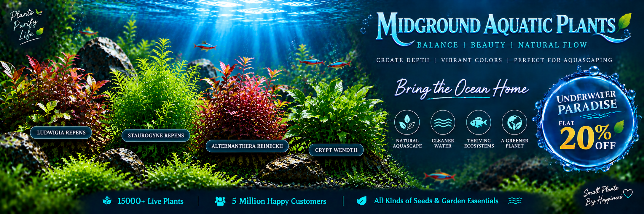 Midground Aquatic Plant