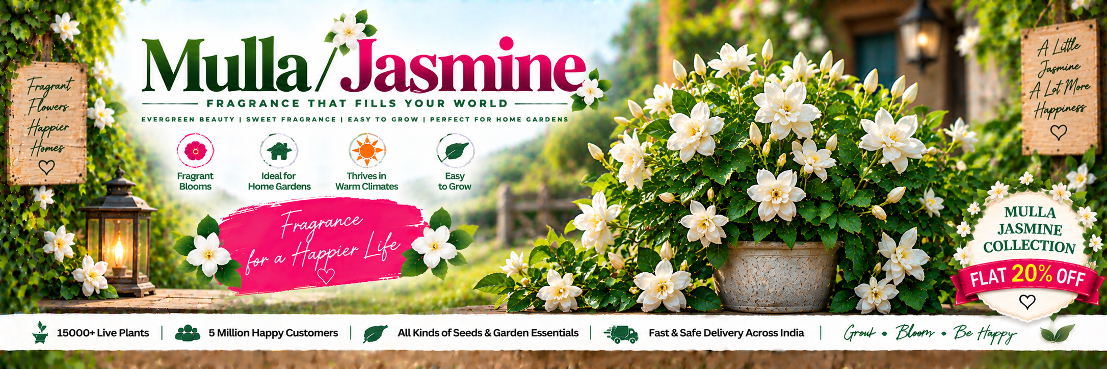 Mulla / Jasmine