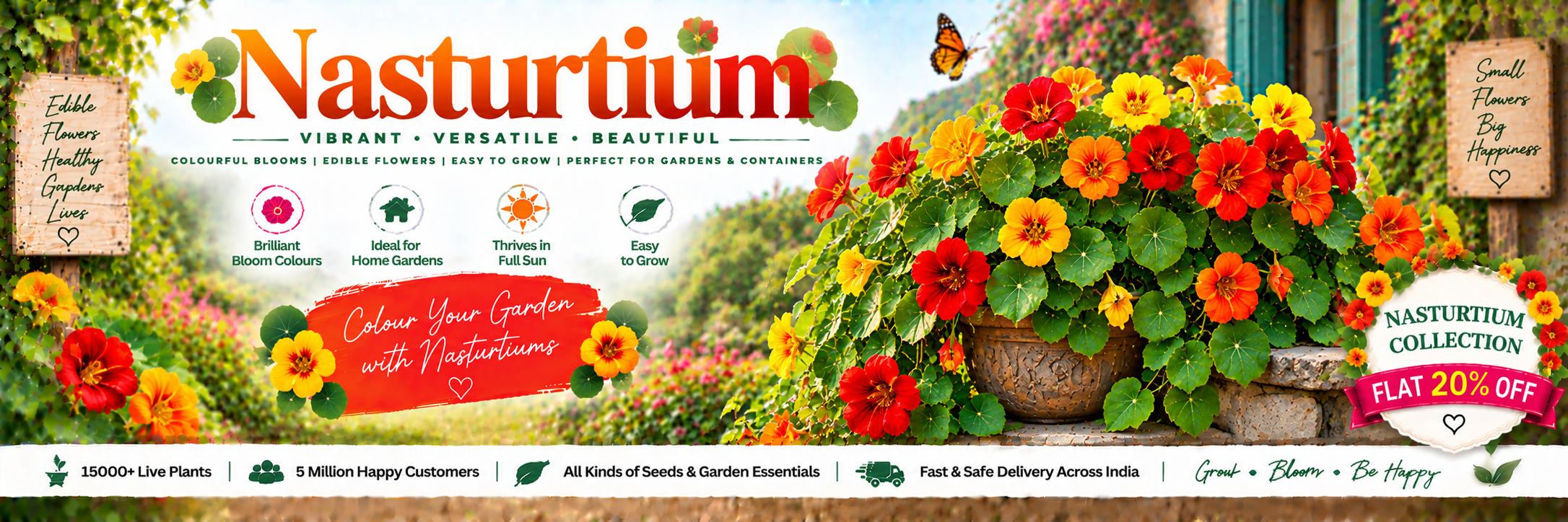 Nasturtium