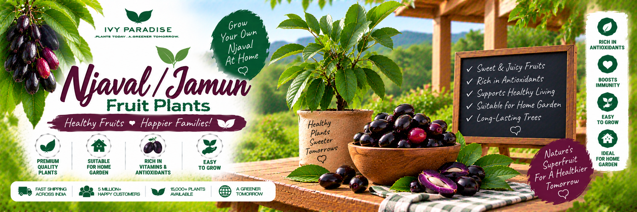 Njaval / Jamun