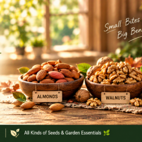 Nuts