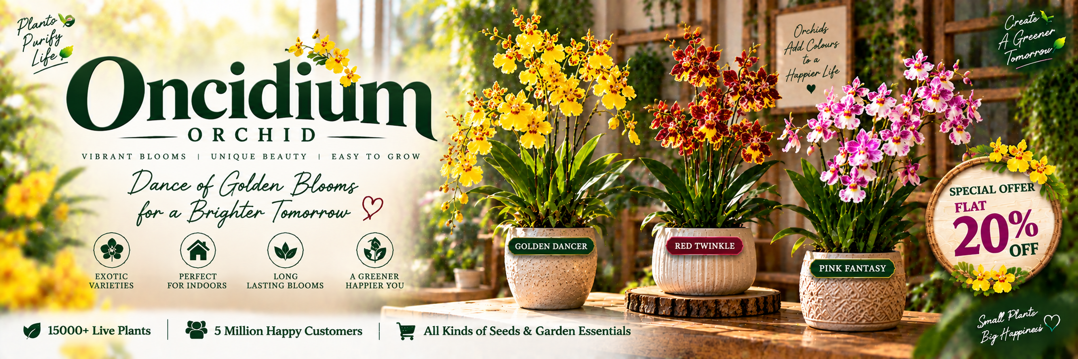 Oncidium