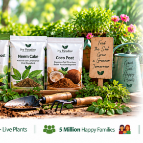 Organic Compost And Manure