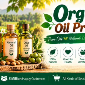 Oil