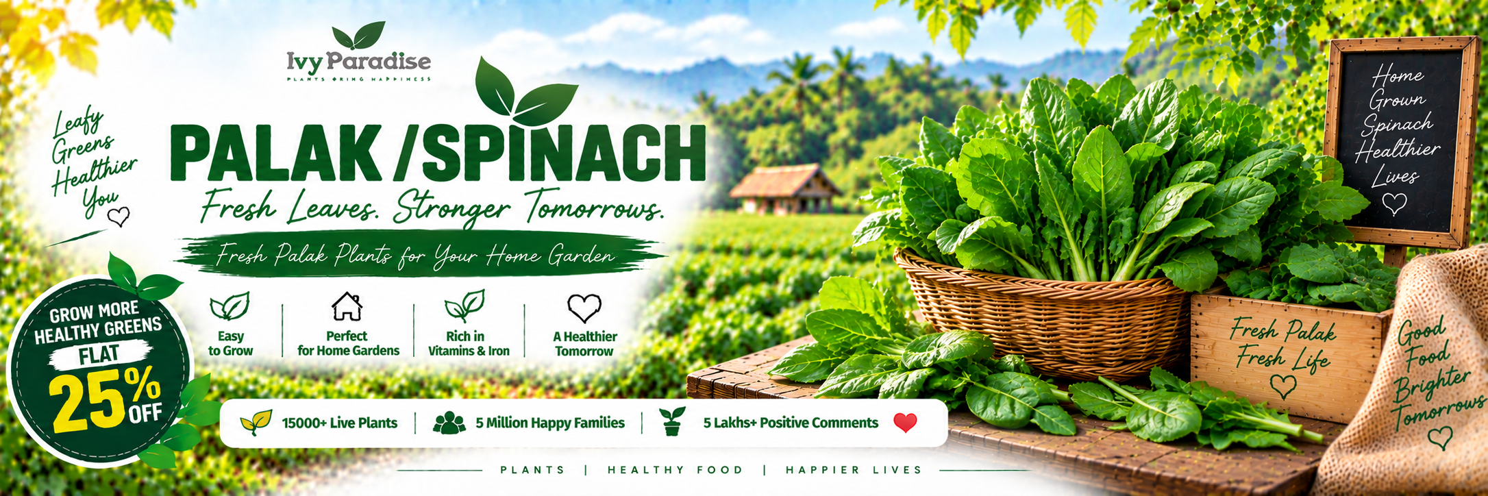 Palak / Spinach