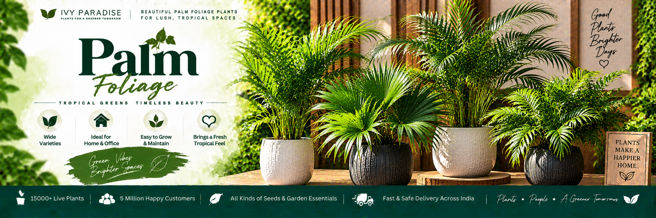 Palm Foliage