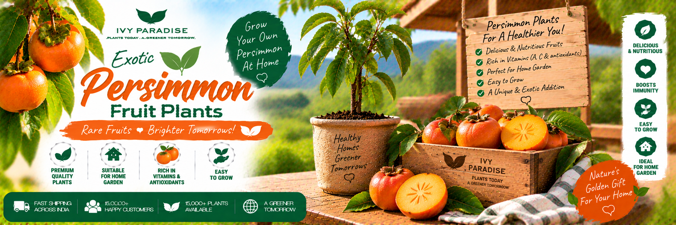 Persimmon