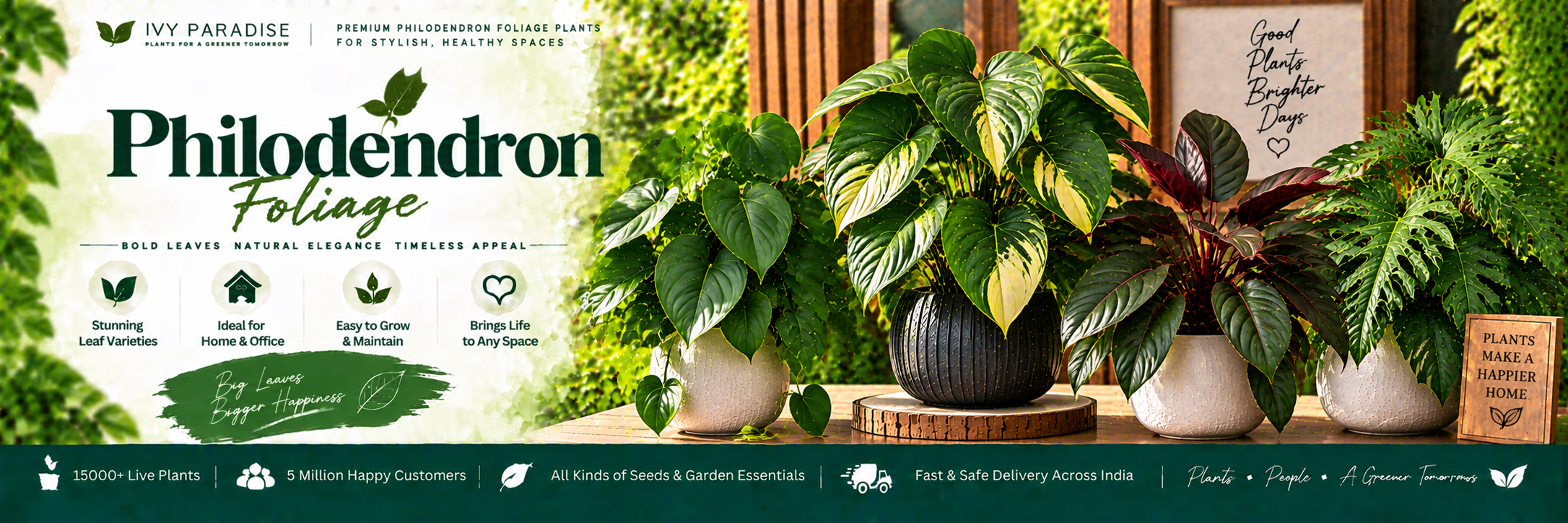 Philodendron Foliage