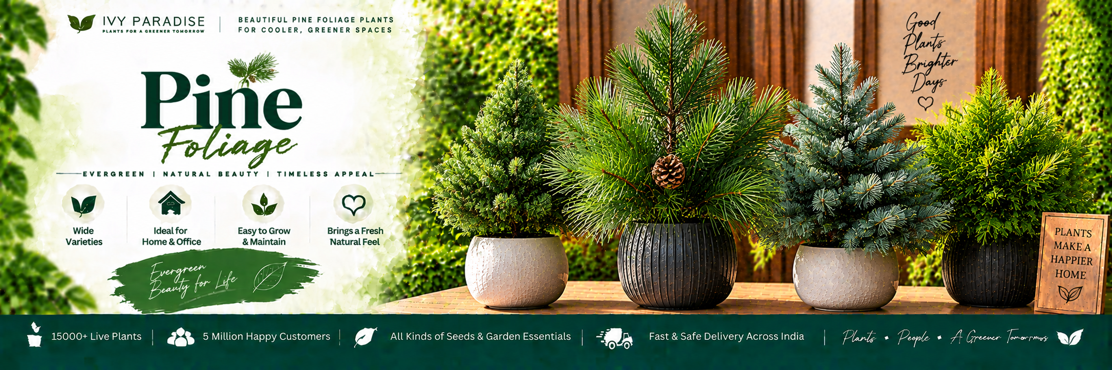 Pine Foliage