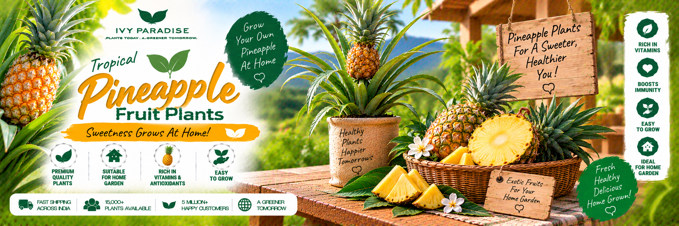 Pineapple
