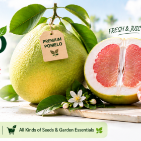 Pomelo