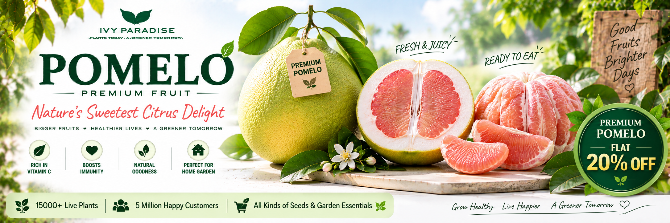 Pomelo