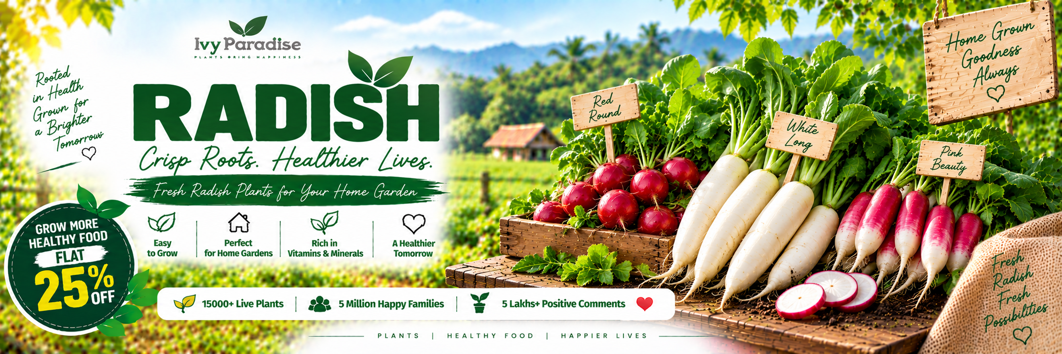 Radish
