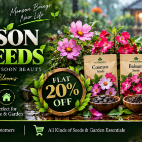 Rainy Season Flower Seeds
