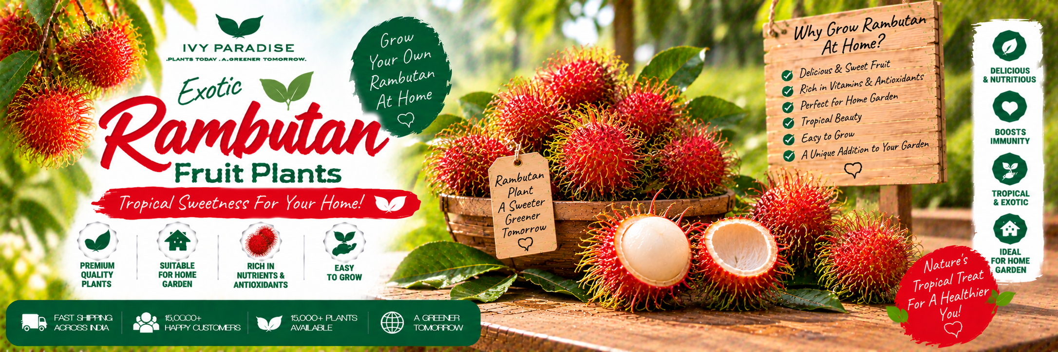 Rambutan