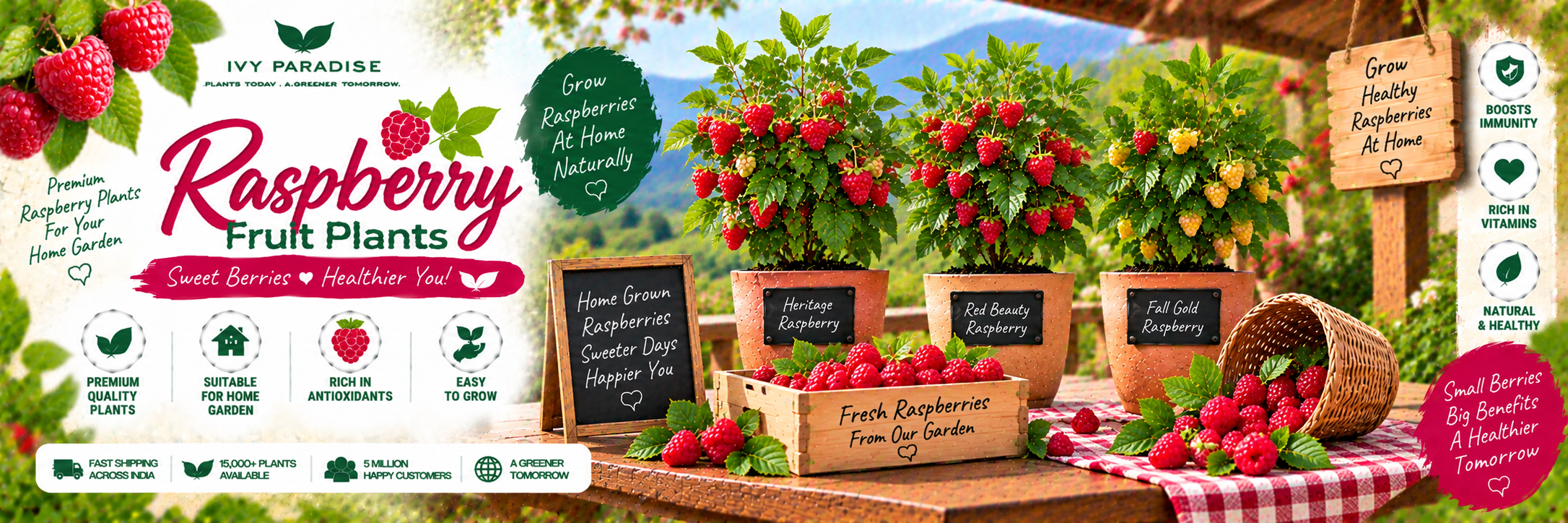 Raspberry