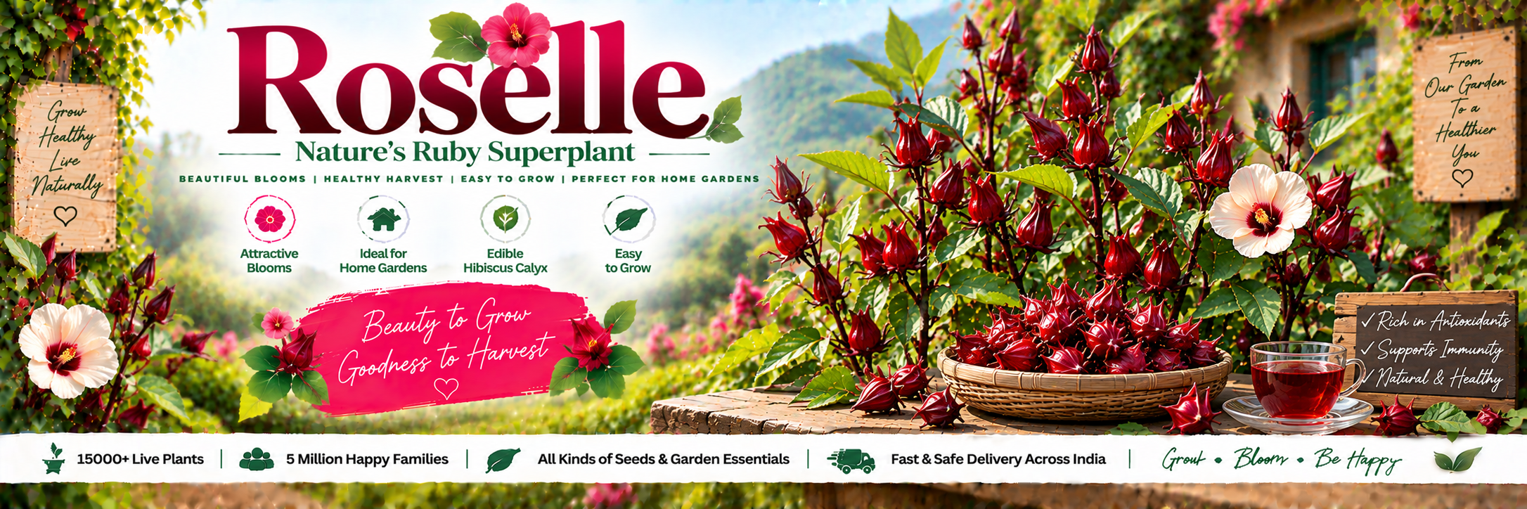 Roselle