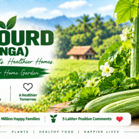 Snake Gourd / Padavalanga