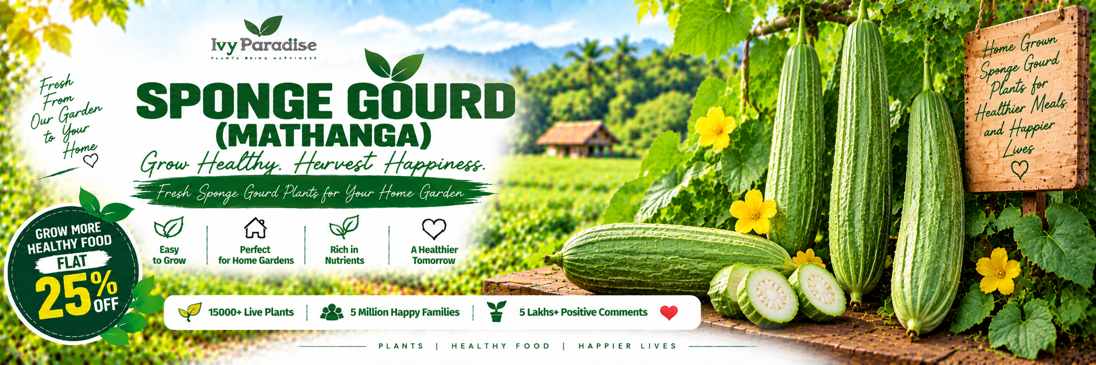 Sponge Gourd (Mathanga)