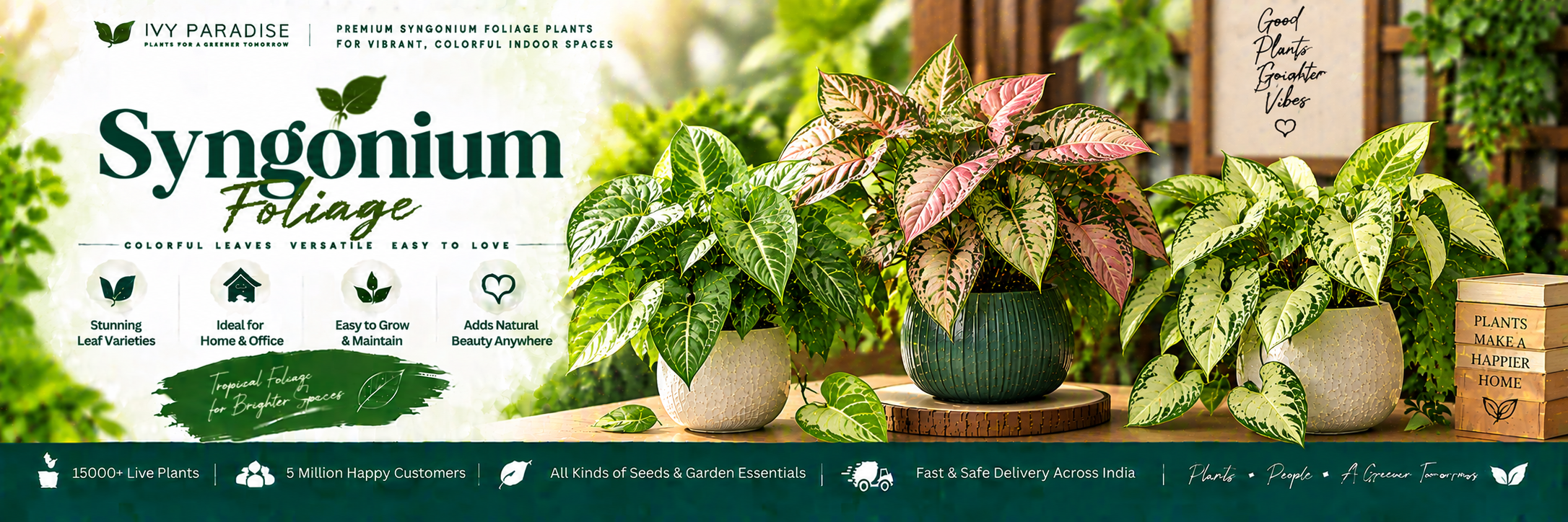 Syngonium Foliage